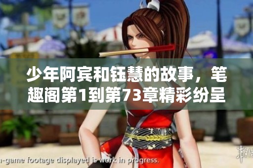 少年阿宾和钰慧的故事，笔趣阁第1到第73章精彩纷呈