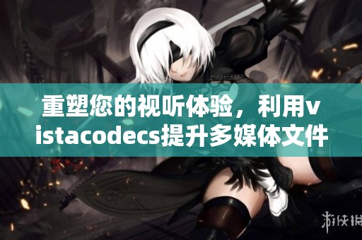 重塑您的视听体验，利用vistacodecs提升多媒体文件播放效果