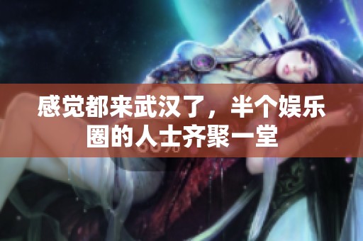 感觉都来武汉了，半个娱乐圈的人士齐聚一堂