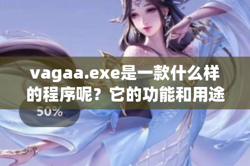 vagaa.exe是一款什么样的程序呢？它的功能和用途究竟有哪些呢？