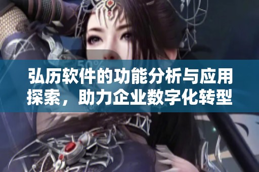弘历软件的功能分析与应用探索，助力企业数字化转型与管理提升