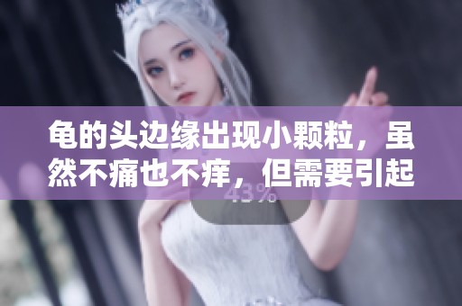 龟的头边缘出现小颗粒，虽然不痛也不痒，但需要引起重视。