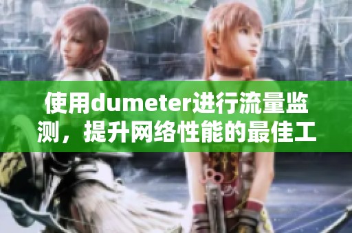 使用dumeter进行流量监测，提升网络性能的最佳工具