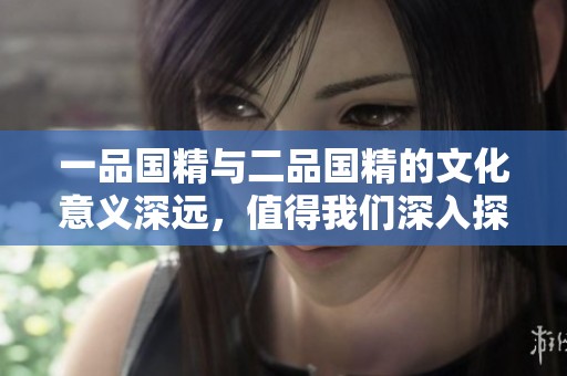 一品国精与二品国精的文化意义深远，值得我们深入探讨与理解