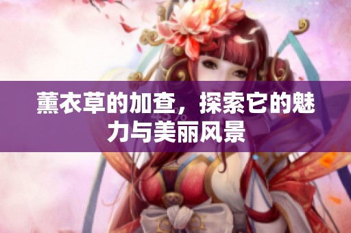 薰衣草的加查，探索它的魅力与美丽风景