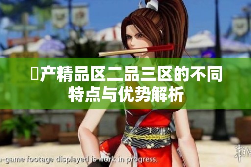 囯产精品区二品三区的不同特点与优势解析