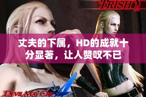 丈夫的下属，HD的成就十分显著，让人赞叹不已