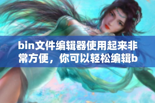 bin文件编辑器使用起来非常方便，你可以轻松编辑bin文件内容