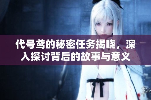 代号鸢的秘密任务揭晓，深入探讨背后的故事与意义
