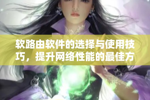 软路由软件的选择与使用技巧，提升网络性能的最佳方案揭秘