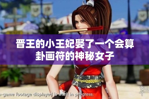晋王的小王妃娶了一个会算卦画符的神秘女子