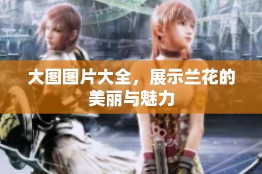 大图图片大全，展示兰花的美丽与魅力