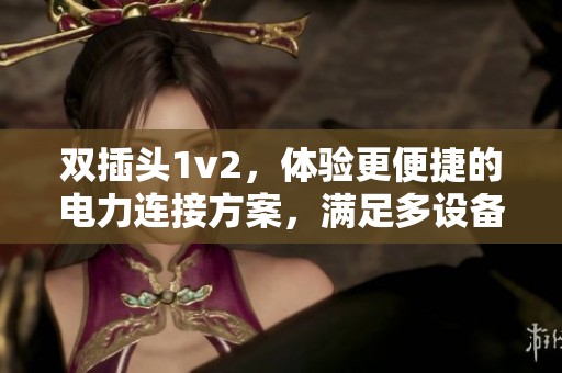 双插头1v2，体验更便捷的电力连接方案，满足多设备使用需求