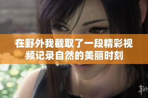 在野外我截取了一段精彩视频记录自然的美丽时刻