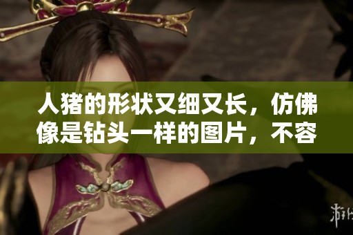 人猪的形状又细又长，仿佛像是钻头一样的图片，不容错过。