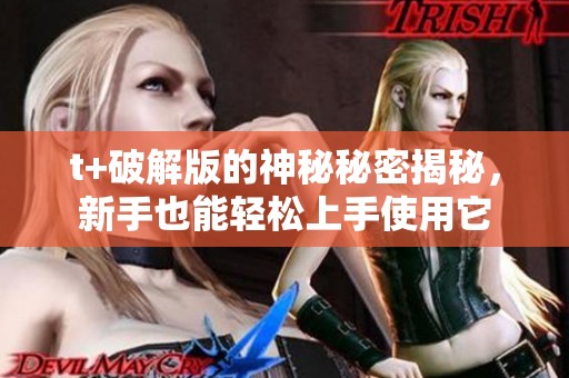 t+破解版的神秘秘密揭秘，新手也能轻松上手使用它