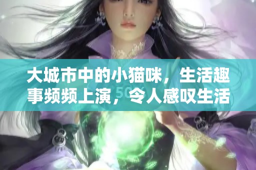 大城市中的小猫咪，生活趣事频频上演，令人感叹生活的多彩与奇妙