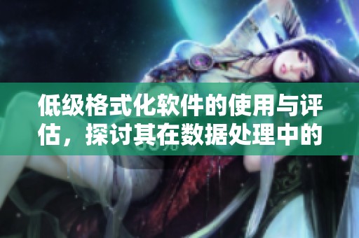 低级格式化软件的使用与评估，探讨其在数据处理中的局限性与风险