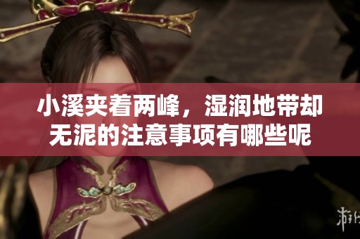 小溪夹着两峰，湿润地带却无泥的注意事项有哪些呢
