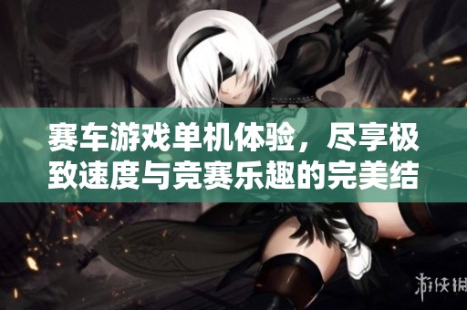 赛车游戏单机体验，尽享极致速度与竞赛乐趣的完美结合