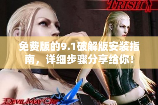 免费版的9.1破解版安装指南，详细步骤分享给你！
