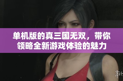 单机版的真三国无双，带你领略全新游戏体验的魅力