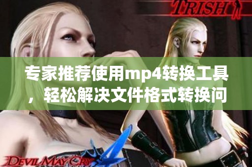 专家推荐使用mp4转换工具，轻松解决文件格式转换问题