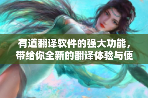 有道翻译软件的强大功能，带给你全新的翻译体验与便捷服务