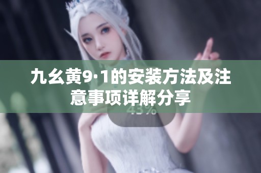 九幺黄9·1的安装方法及注意事项详解分享