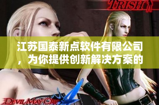 江苏国泰新点软件有限公司，为你提供创新解决方案的专业公司。