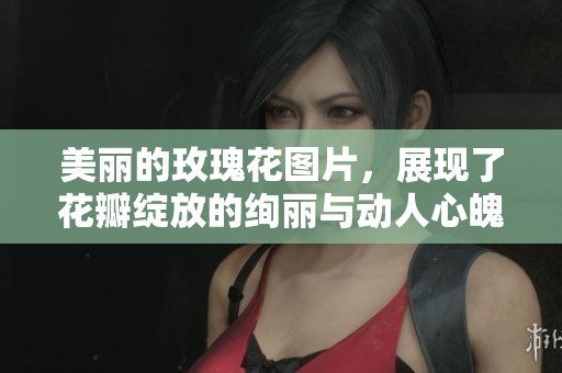美丽的玫瑰花图片，展现了花瓣绽放的绚丽与动人心魄的色彩