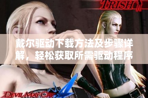 戴尔驱动下载方法及步骤详解，轻松获取所需驱动程序