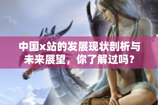中国x站的发展现状剖析与未来展望，你了解过吗？