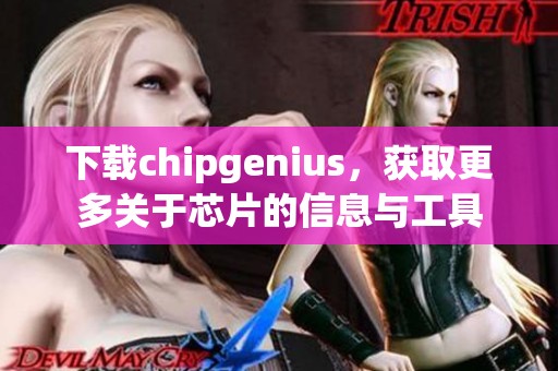 下载chipgenius，获取更多关于芯片的信息与工具