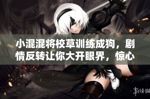 小混混将校草训练成狗，剧情反转让你大开眼界，惊心动魄的故事即将揭晓