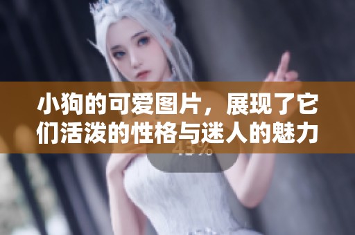 小狗的可爱图片，展现了它们活泼的性格与迷人的魅力。
