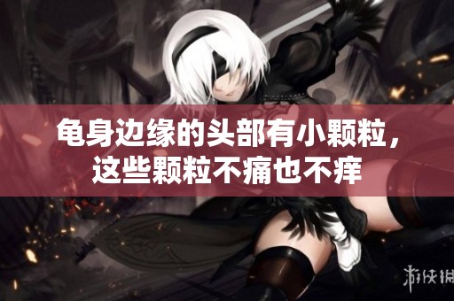 龟身边缘的头部有小颗粒，这些颗粒不痛也不痒
