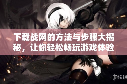 下载战网的方法与步骤大揭秘，让你轻松畅玩游戏体验！