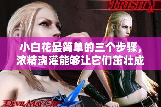 小白花最简单的三个步骤，浓精浇灌能够让它们茁壮成长