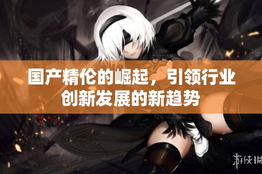 国产精伦的崛起，引领行业创新发展的新趋势