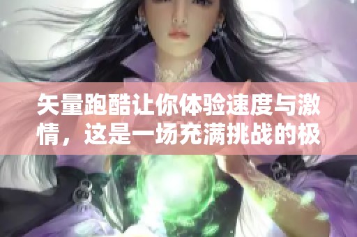 矢量跑酷让你体验速度与激情，这是一场充满挑战的极限之旅