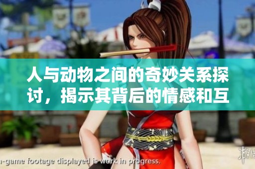 人与动物之间的奇妙关系探讨，揭示其背后的情感和互动方式