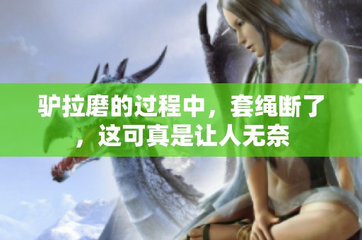 驴拉磨的过程中，套绳断了，这可真是让人无奈