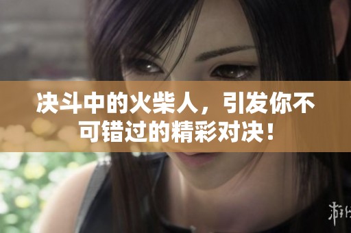 决斗中的火柴人，引发你不可错过的精彩对决！