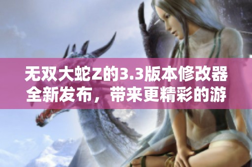 无双大蛇Z的3.3版本修改器全新发布，带来更精彩的游戏体验