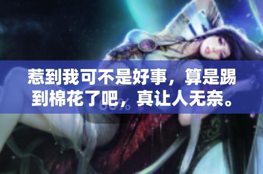 惹到我可不是好事，算是踢到棉花了吧，真让人无奈。