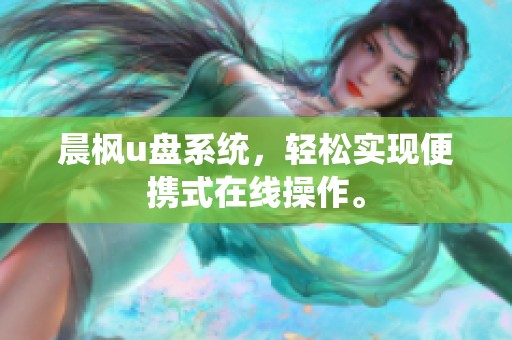 晨枫u盘系统，轻松实现便携式在线操作。