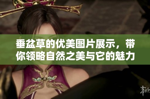 垂盆草的优美图片展示，带你领略自然之美与它的魅力