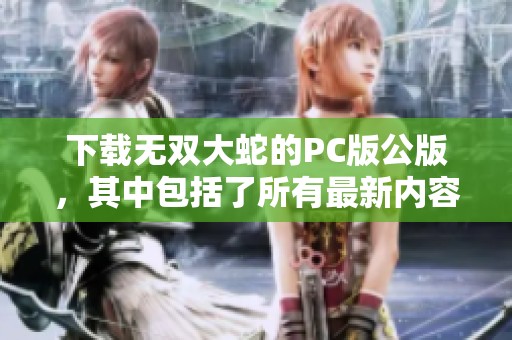 下载无双大蛇的PC版公版，其中包括了所有最新内容和特点