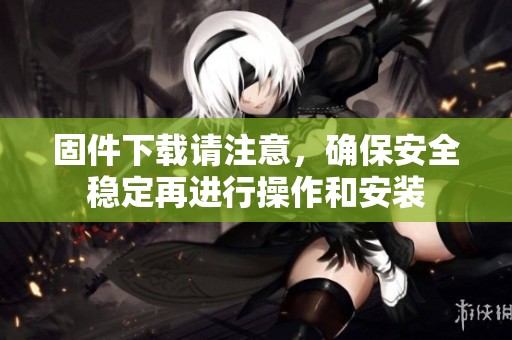 固件下载请注意，确保安全稳定再进行操作和安装